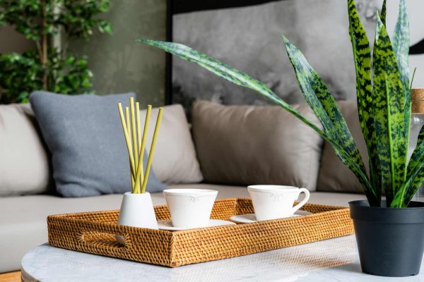 The-Ultimate-Guide-to-Choosing-the-Best-Diffuser-Fragrances-On-AmericasBestBlog