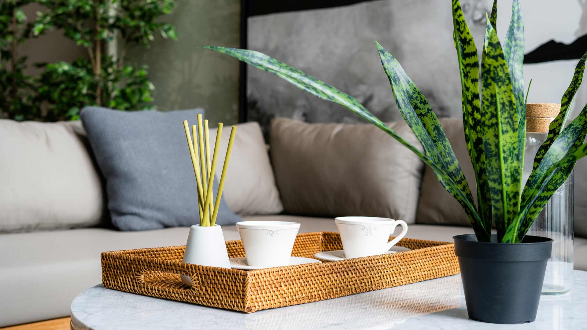 The-Ultimate-Guide-to-Choosing-the-Best-Diffuser-Fragrances-On-AmericasBestBlog